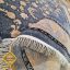 فرش ارزان 700